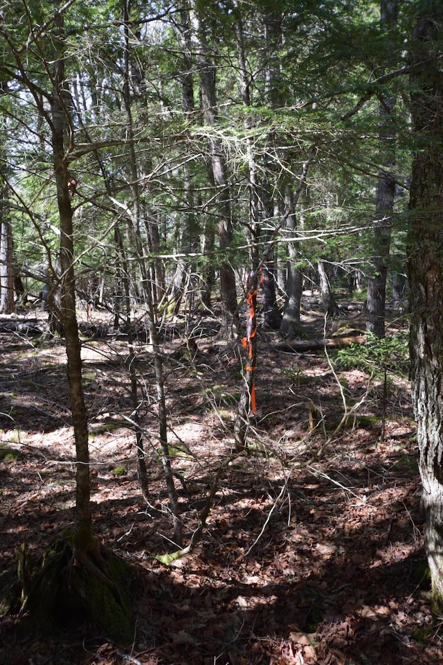 LOT3 Crowe Ln, Princeton, ME 04668 - photo 5