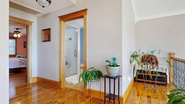 101 Parrott St, South Portland, ME 04106 - corridor with hardwood / wood-style flooring, crown molding, and baseboards