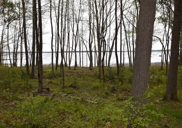 106 Shady Ln, Newport, ME 04953 - view of local wilderness featuring a large body of water