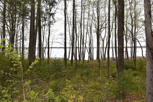 106 Shady Ln, Newport, ME 04953 - view of nature with a nearby body of water
