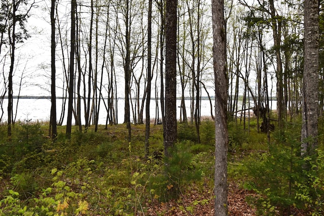 106 Shady Ln, Newport, ME 04953 - view of undeveloped land featuring a large body of water