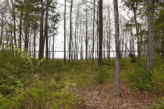 106 Shady Ln, Newport, ME 04953 - view of undeveloped land