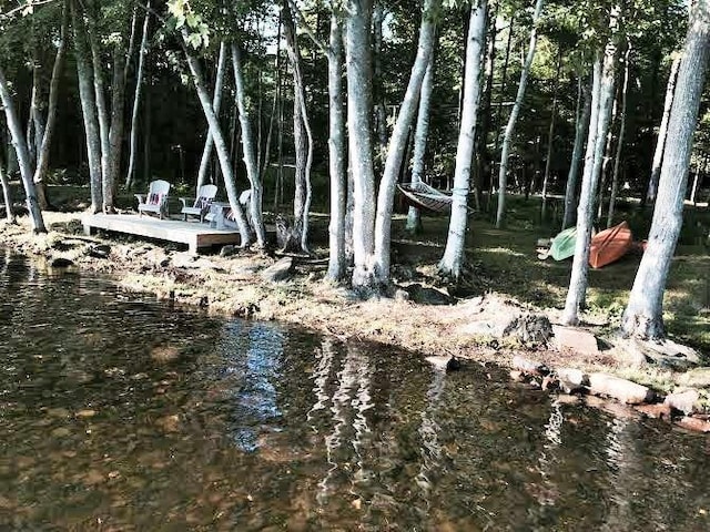 106 Shady Ln, Newport, ME 04953 - view of undeveloped land