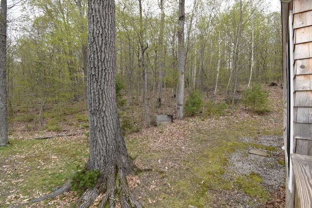106 Shady Ln, Newport, ME 04953 - view of local wilderness
