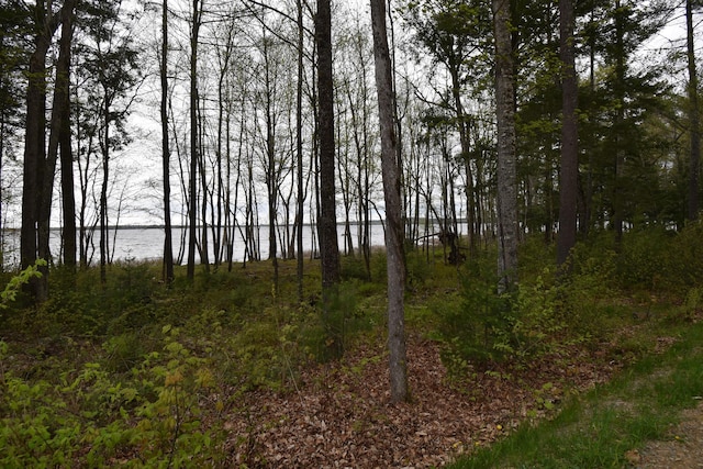 106 Shady Ln, Newport, ME 04953 - view of nature featuring a large body of water