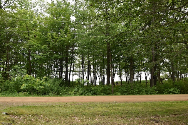 106 Shady Ln, Newport, ME 04953 - view of local wilderness
