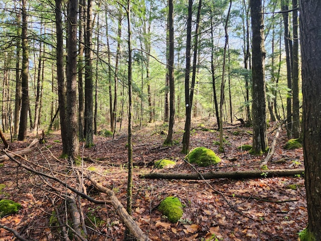 9 Hidden Dr, New Gloucester, ME 04260 - view of wooded area