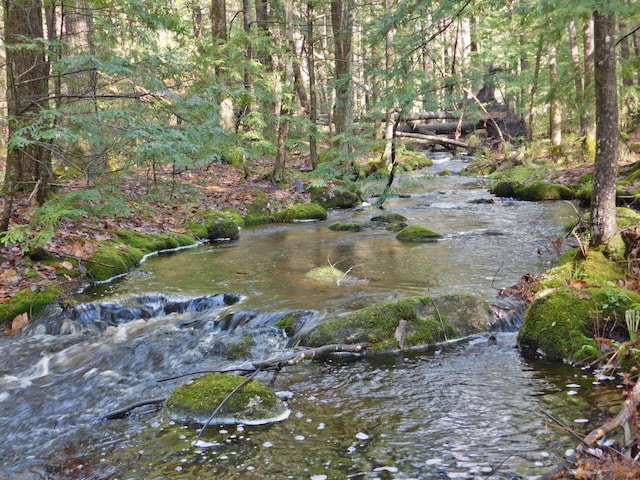 9 Hidden Dr, New Gloucester, ME 04260 - view of woods