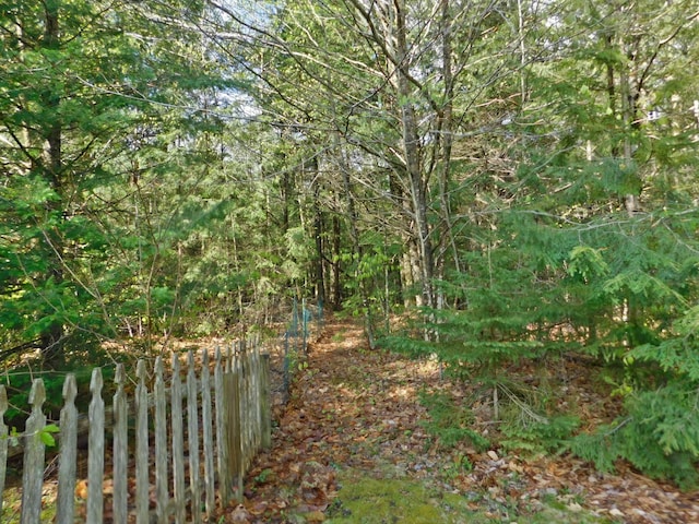 9 Hidden Dr, New Gloucester, ME 04260 - view of undeveloped land