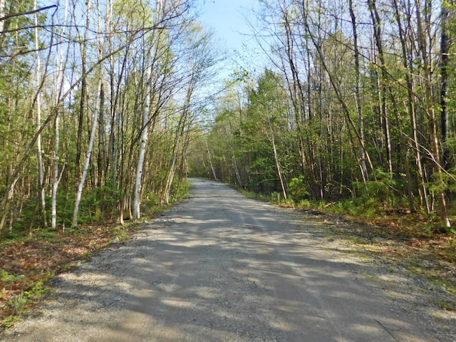 9 Hidden Dr, New Gloucester, ME 04260 - view of road featuring a forest view