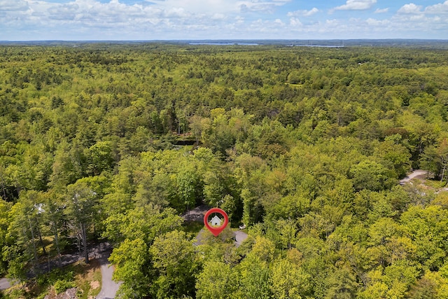 400 Chopps Cross Rd, Woolwich, ME 04579 - drone / aerial view of a forest