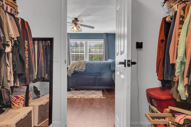 37 Birchwood Ln, Bowdoinham, ME 04008 - walk in closet featuring ceiling fan and wood finished floors