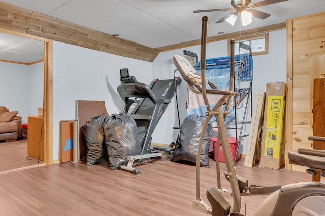 37 Birchwood Ln, Bowdoinham, ME 04008 - workout room with ceiling fan and wood finished floors