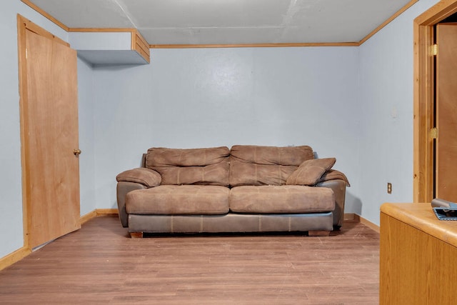 37 Birchwood Ln, Bowdoinham, ME 04008 - living area with baseboards, light wood-style flooring, and crown molding