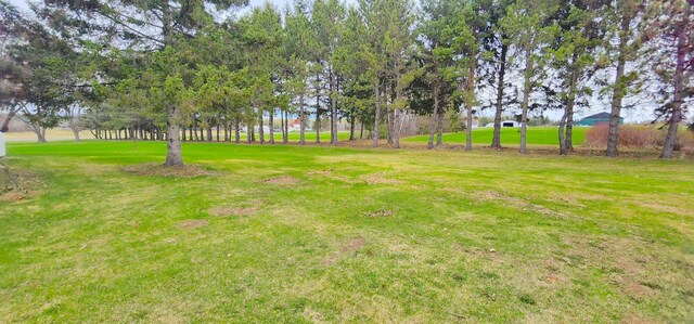 281 Cross Rd, Washburn, ME 04786 - view of green lawn