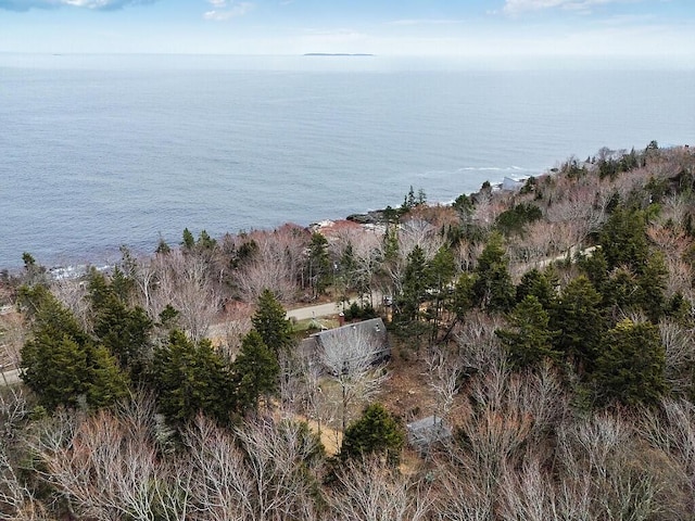 165 Mcfarland Shore Rd, Bristol, ME 04554 - water view