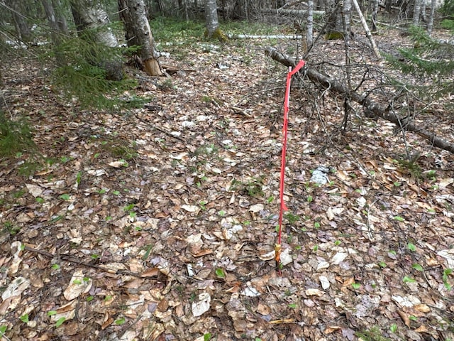 LOT14-6 N Rd, Lee, ME 04455