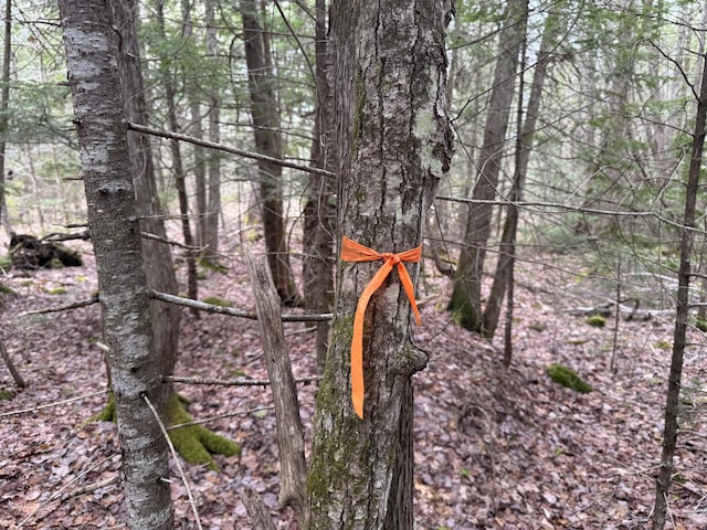 LOT14-6 N Rd, Lee, ME 04455