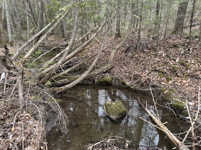 LOT14-6 N Rd, Lee, ME 04455