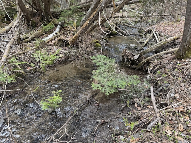 LOT14-6 N Rd, Lee, ME 04455