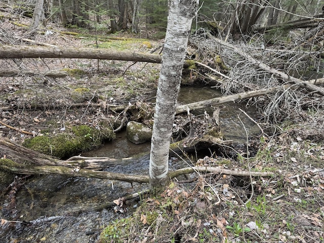 LOT14-6 N Rd, Lee, ME 04455