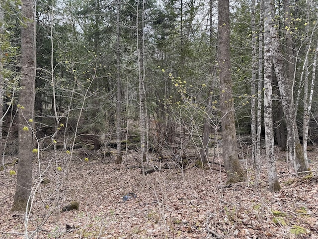 LOT14-6 N Rd, Lee, ME 04455
