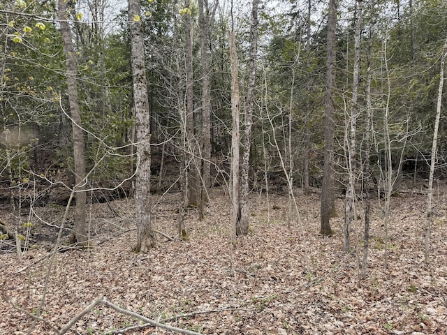 LOT14-6 N Rd, Lee, ME 04455