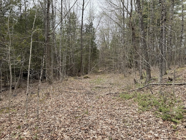 LOT14-6 N Rd, Lee, ME 04455