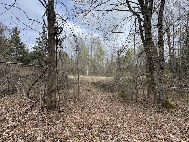LOT14-6 N Rd, Lee, ME 04455