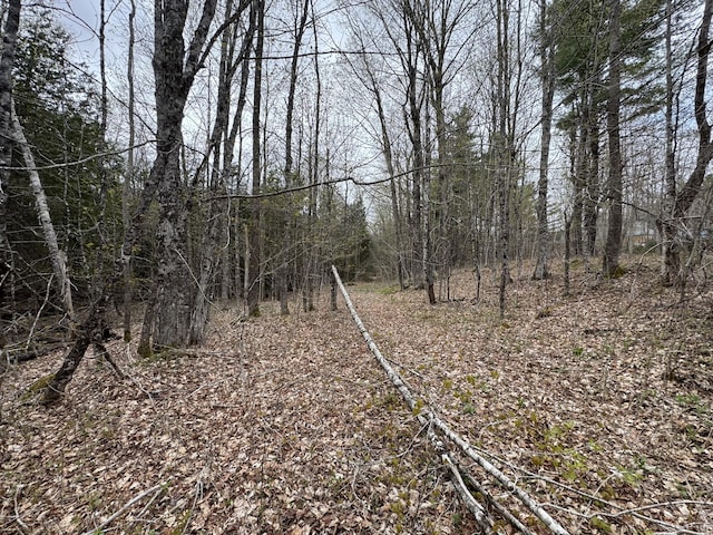 LOT14-6 N Rd, Lee, ME 04455