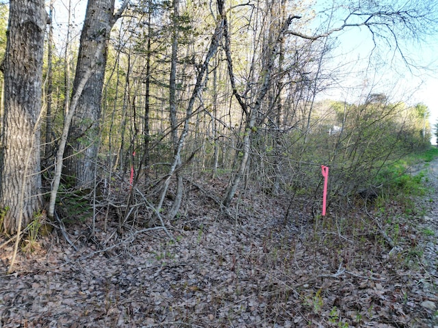 LOT14-6 N Rd, Lee, ME 04455