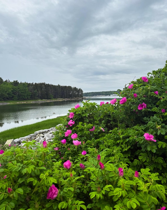 204 Clark Island Rd, Saint George, ME 04859 - photo 29