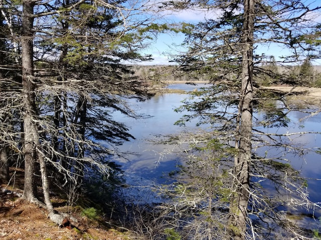 9 River Rd Lot 3, Brooklin, ME 04616