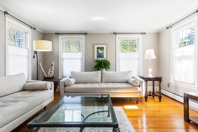 11 Summer St, Kennebunk, ME 04043 - living area with baseboard heating, ornamental molding, and wood finished floors