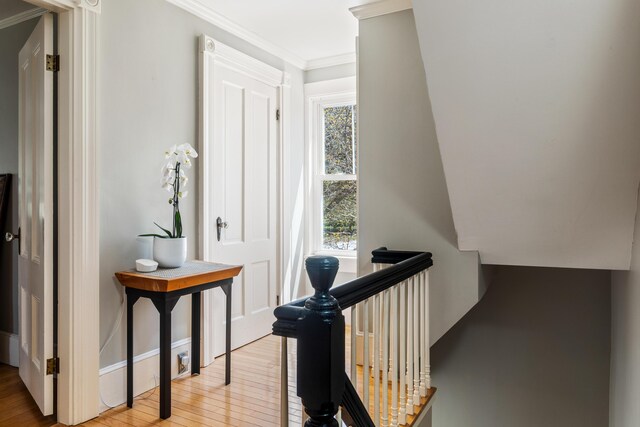 11 Summer St, Kennebunk, ME 04043 - hall with ornamental molding, light wood-type flooring, baseboards, and an upstairs landing