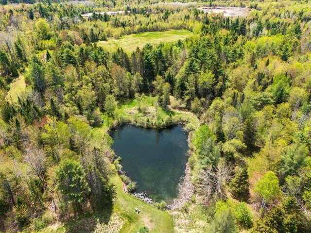 455 Village Rd, Jackson, ME 04921 - photo 48