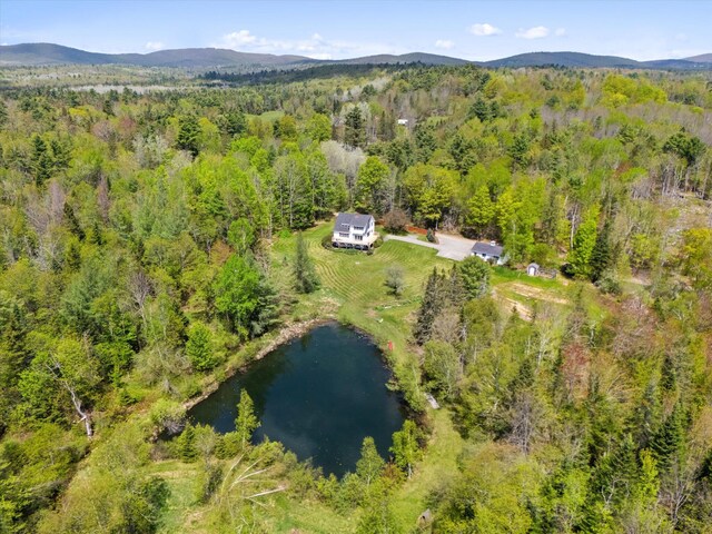 455 Village Rd, Jackson, ME 04921 - photo 50