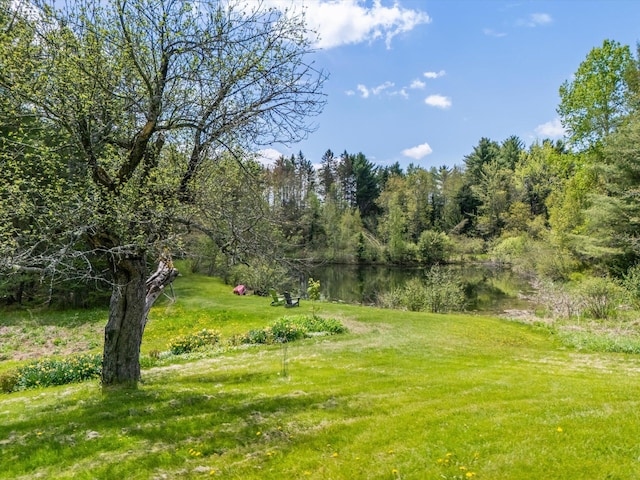 455 Village Rd, Jackson, ME 04921 - photo 7