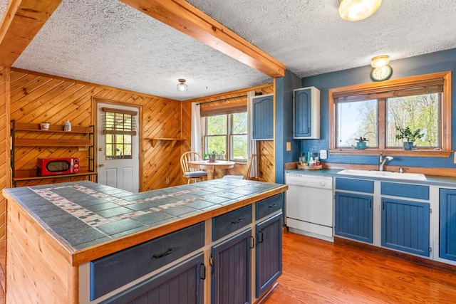 414 Oak Hill Rd, Litchfield, ME 04350 - kitchen with dishwasher, a sink, a textured ceiling, blue cabinets, and light wood-style flooring