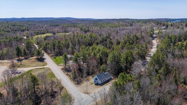 2910 Burkettville Rd, Liberty, ME 04949 - photo 8