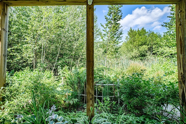 48 Sancho Dr, Saco, ME 04072 - view of wooded area
