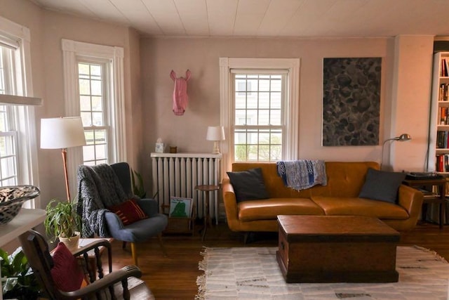 56 Savage St, Bangor, ME 04401 - living room featuring plenty of natural light and wood finished floors