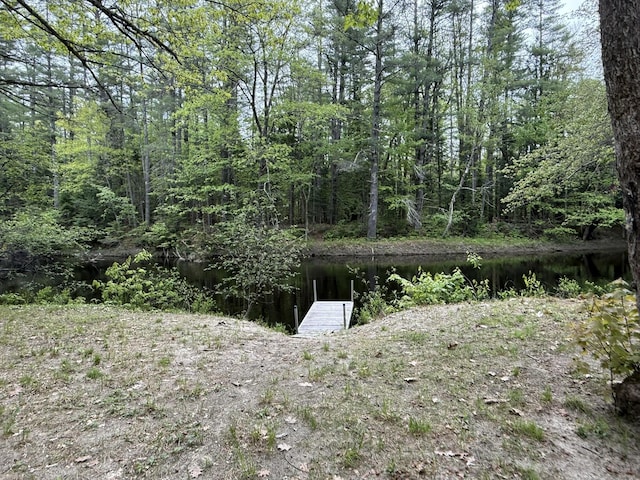 26-28 Acorn Rd, Naples, ME 04055 - view of yard featuring a dock and a view of trees