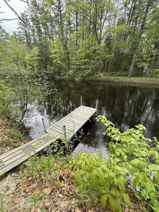 26-28 Acorn Rd, Naples, ME 04055 - dock featuring a water view