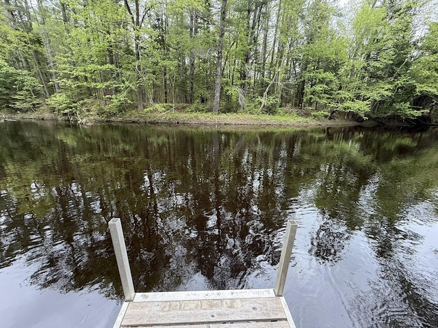 26-28 Acorn Rd, Naples, ME 04055 - dock with a water view and a wooded view