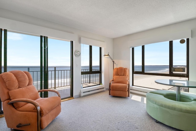 205 E Grand Ave Unit 7E, Old Orchard Beach, ME 04064 - living area with a water view, a baseboard heating unit, a textured ceiling, and carpet flooring
