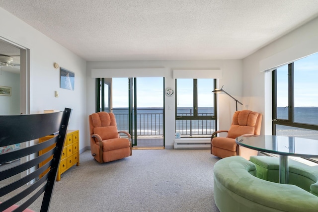 205 E Grand Ave Unit 7E, Old Orchard Beach, ME 04064 - living room with a water view, light carpet, a textured ceiling, and baseboard heating