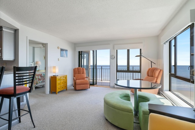 205 E Grand Ave Unit 7E, Old Orchard Beach, ME 04064 - carpeted living area with a water view, healthy amount of natural light, and a textured ceiling
