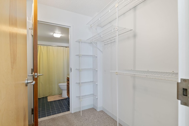 205 E Grand Ave Unit 7E, Old Orchard Beach, ME 04064 - walk in closet featuring carpet flooring