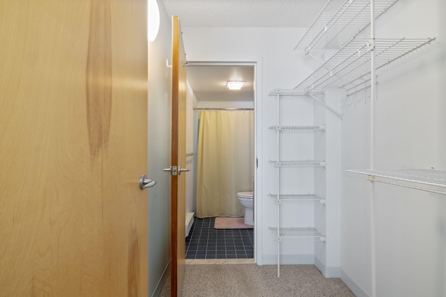 205 E Grand Ave Unit 7E, Old Orchard Beach, ME 04064 - walk in closet featuring carpet flooring